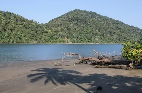 Le fjord Ensenada de Utria - Colombie