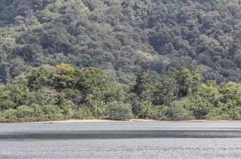 Côte sauvage du Pacifique - Colombie