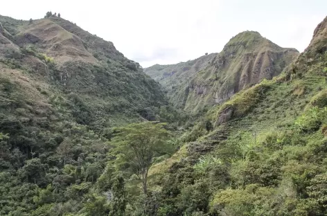 Randonnée dans la région de Tierra Dientro - Colombie