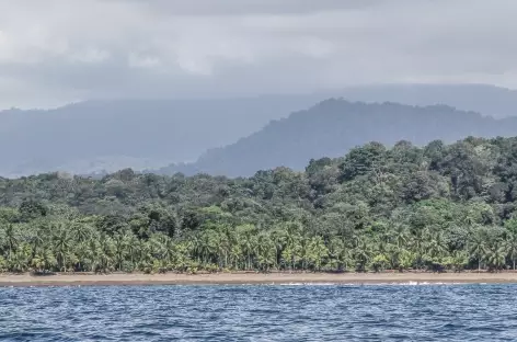 Sauvage côte Pacifique - Colombie - 