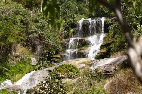 Cascade dans la Sierra Nevada de Santa Marta - Colombie - 