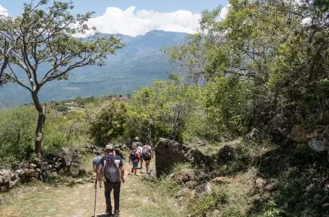 Camino Real - Colombie