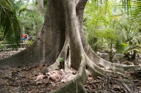 Parc Tayrona - Colombie