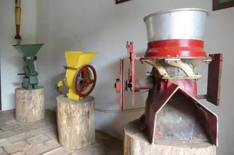 Plantation de café - Colombie - 