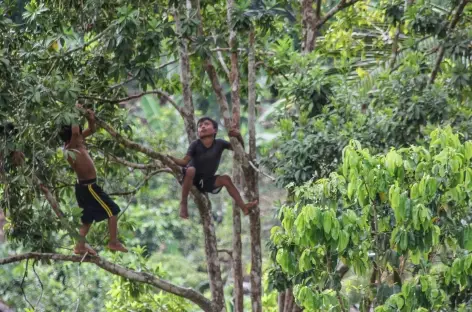 Village Embera - Colombie - 