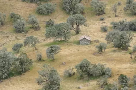 Colombie, Paramo de Oceta