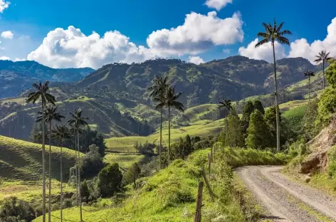 Vallée de Samaria_Colombie