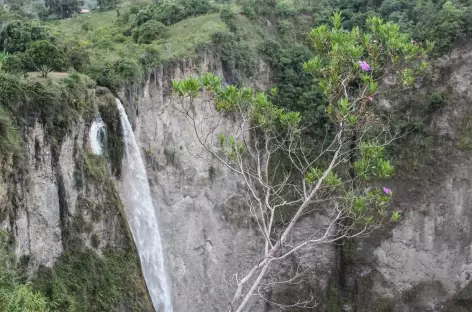 Cascade de Mortino - Colombie