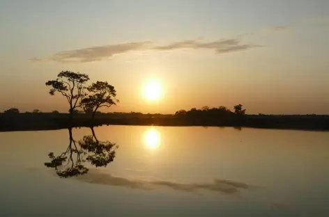 Superbe lever de soleil dans les Llanos - Colombie
