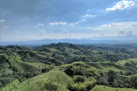 Paysages de la Région du Café - Colombie - 