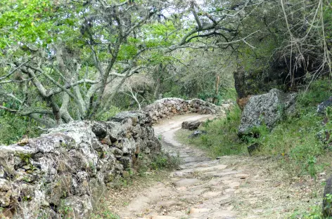 Balade vers Guane - Colombie