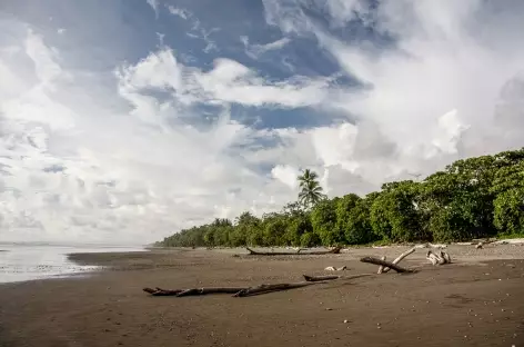 Plage sauvage du Pacifique - Costa Rica