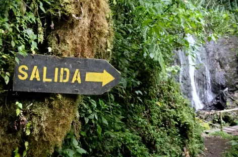 Balade dans la forêt de Dota - Costa Rica
