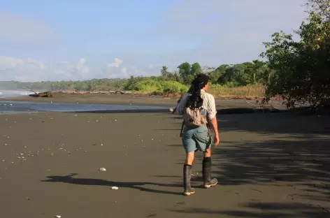 Parc National Corcovado, sur la plage Sirena - Costa Rica