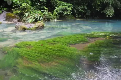 Balade dans le parc national du volcan Tenorio - Costa Rica