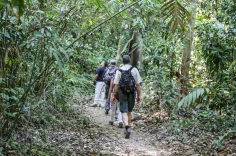 Balade en forêt - Costa Rica