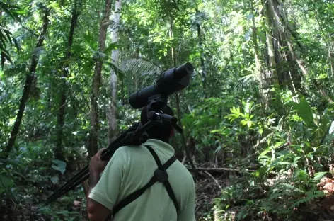 Balade dans le parc national Corcovado - Costa Rica