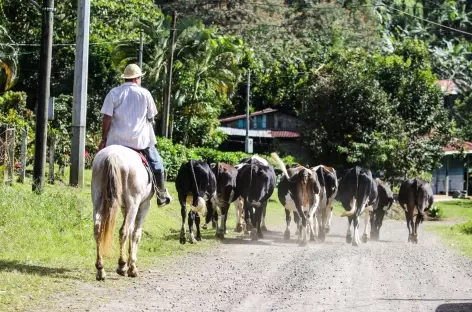 Un Costa Rical rural dans la région du volcan Tenorio - Costa Rica