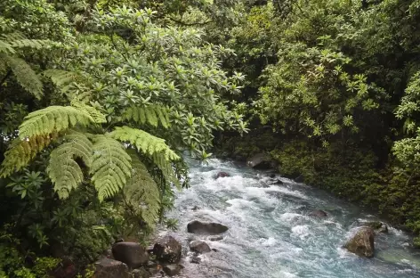 Balade dans le parc national du volcan Tenorio - Costa Rica