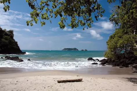 Balade dans le parc national Manuel Antonio - Costa Rica