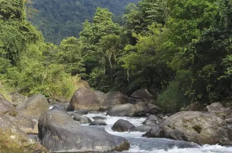 Le rio Savegre près du village de Piedras Blancas - Costa Rica - 