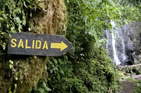 Balade près de Dota - Costa Rica