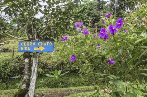 Balade vers le Cerro Chato - Costa Rica