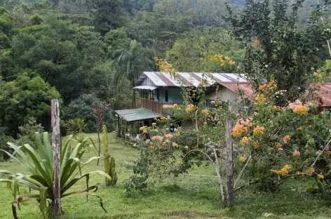 Halte pour le déjeuner au village de Piedras Blancas - Costa Rica