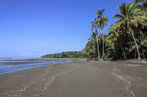 La côte Pacifique près d'Uvita - Costa Rica