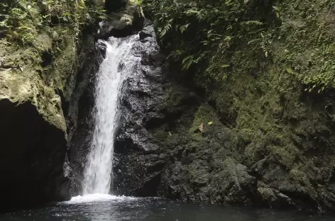 Baignade dans une cascade du parc Corcovado - Costa Rica - 