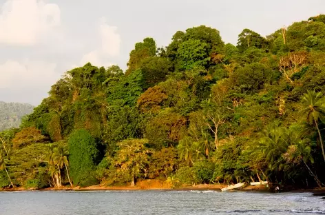 Extension dans le Parc National de Corcovado