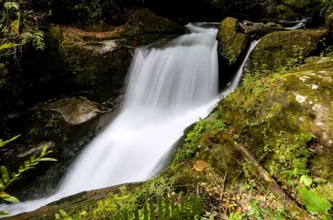 Grande cascade sur le Rio Savegre El Trogon à Dota - 