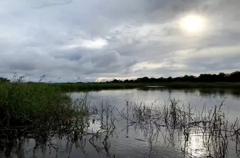 Caño Negro - Costa Rica - 