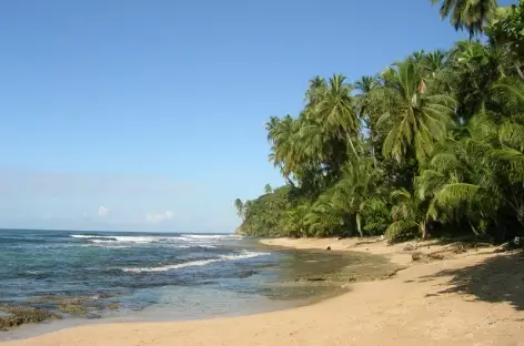 Plage proche de Puerto Viejo - Costa Rica - 