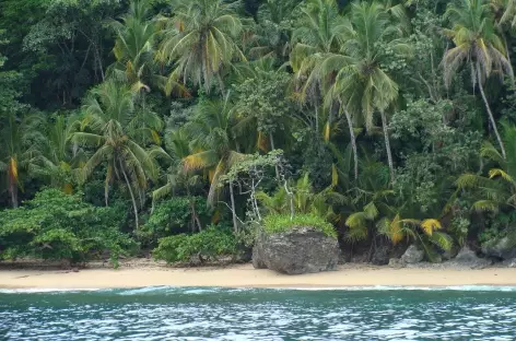 Côte Pacifique sauvage - Costa Rica - 