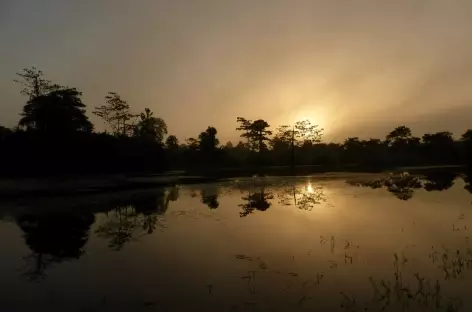 Le jour se lève au Maquenque lodge , Boca Tapada - Costa Rica - 