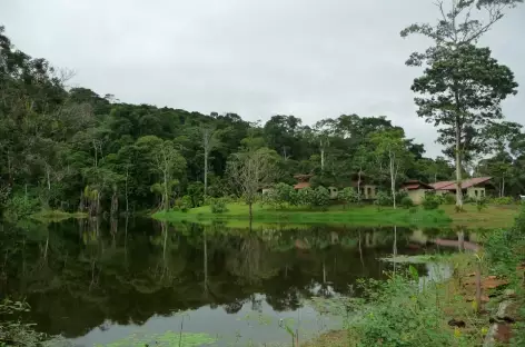 Vue d'ensemble du Maquenque Lodge, Boca Tapada - Costa Rica - 