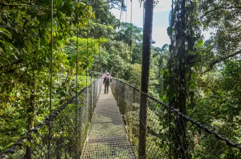 Balade sur des passerelles suspendues dans la région du volcan Arenal - Costa Rica