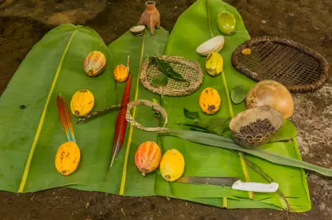 Rencontre avec la communauté indienne Maleku - Costa Rica