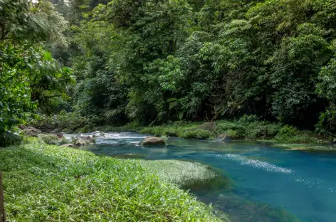 Rio Celeste dans le parc national du volcan Tenorio - Costa Rica
