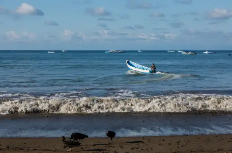 Baie de Drake - Costa Rica