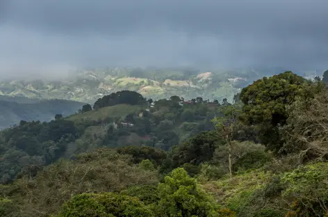 Forêt nuageuse de Dota - Costa Rica - 