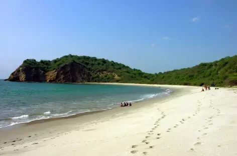 La plage de Machalilla près de Puerto Lopez - Equateur