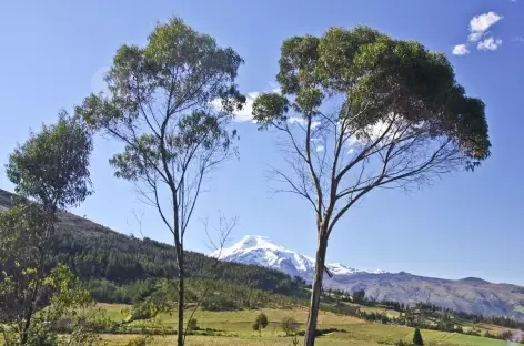 Paysage dans la campagne d'Otavalo - Equateur - 