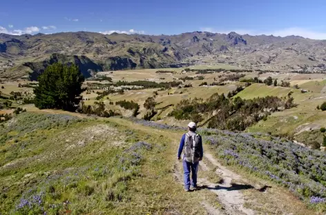 Balade vers Tigua - Equateur