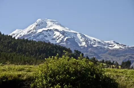 Vue sur le Cayambe depuis les environs d'Otavalo - Equateur