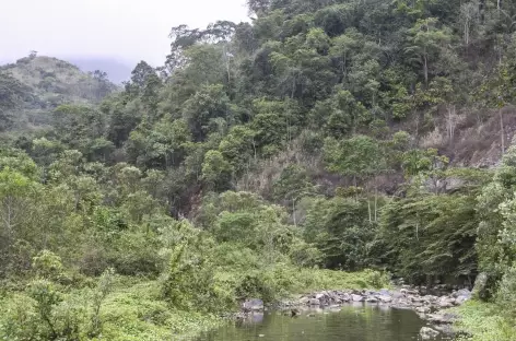 Balade dans la forêt d'Ayampe - Equateur