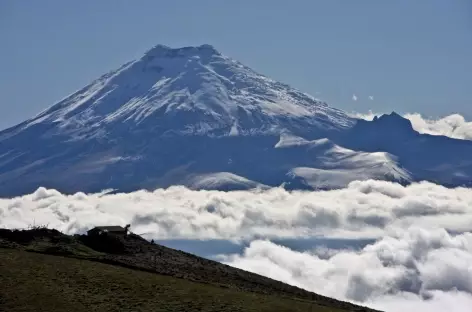 Le Cotopaxi flotte au-dessus des nuages - Equateur