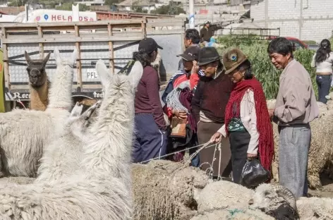 Ambiance sur un marché - Equateur