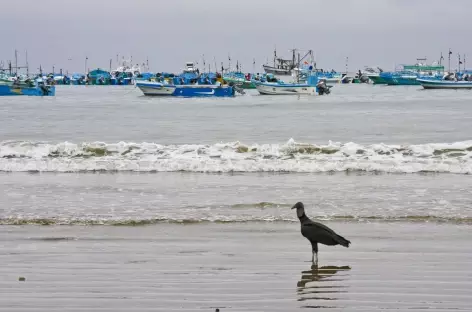 Le port de pêche de Puerto Lopez - Equateur